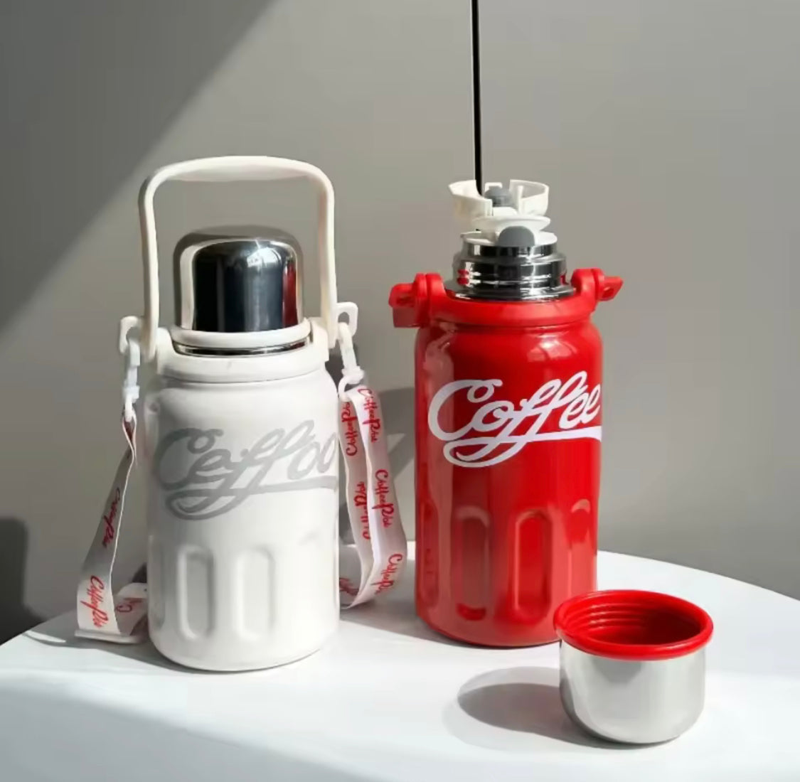 Portable Insulated Water Bottle