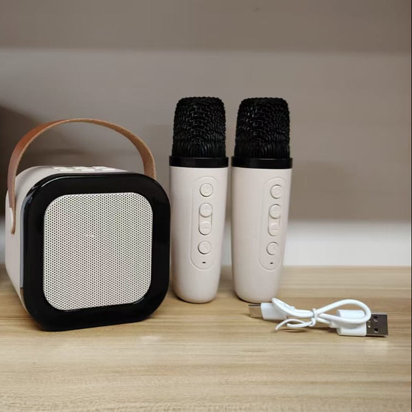 K12 Professional Karaoke Mic & Bluetooth Speaker